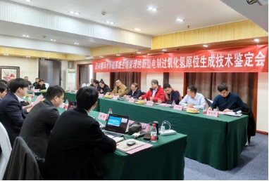 國際先進(jìn)！雙良環(huán)境這項首創(chuàng)技術(shù)通過專家權(quán)威鑒定